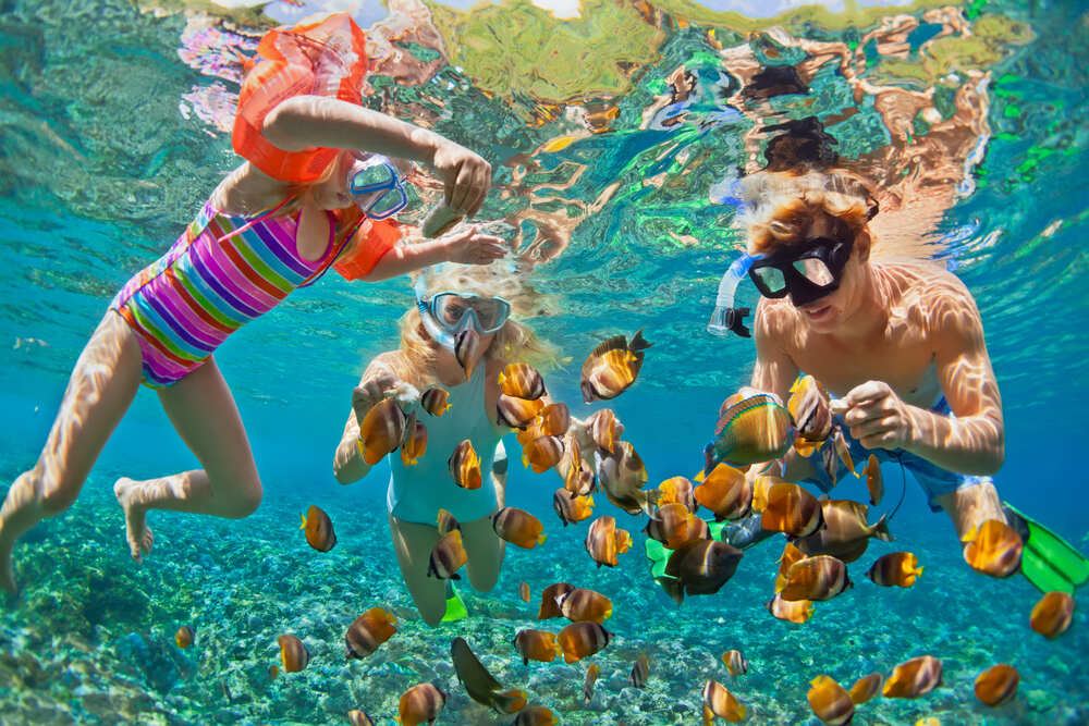 Grand Cayman's Aquatic Adventures & Snorkeling Marvels