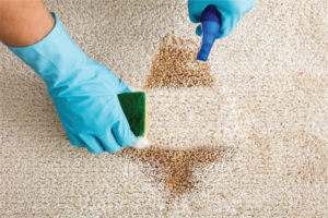 Mastering the Art of Carpet Stain Removal: Tips and Tricks